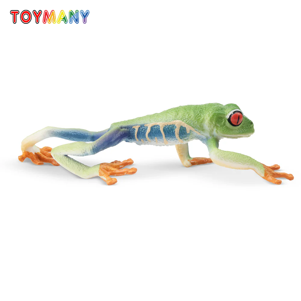Toymany Simulation Red-eyed Tr - مراجعة Art Craft Eyes وسعره