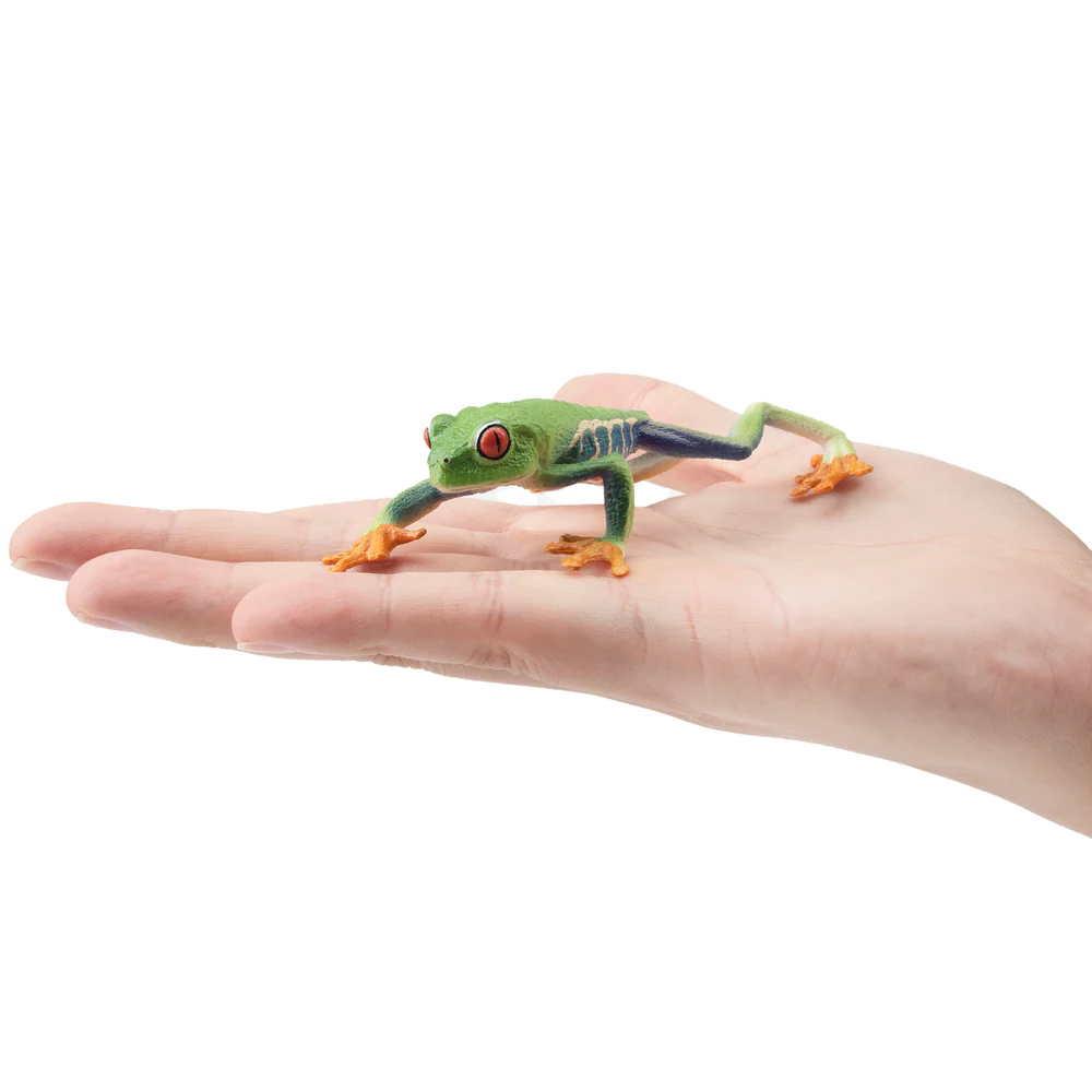 Toymany Simulation Red-eyed Tr - مراجعة Art Craft Eyes وسعره